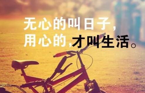 职场上的作业人员都应该学习